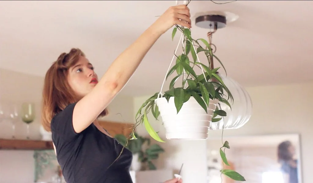 hang things from popcorn ceiling